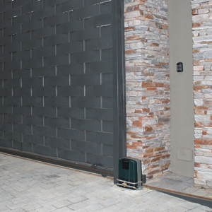 Electronic Entry Gates